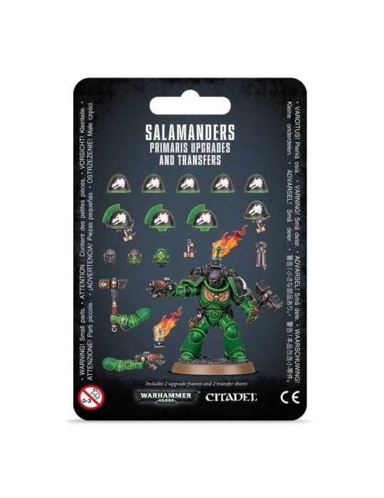 SALAMANDERS PRIMARIS UPGRADES & TRANSFERS