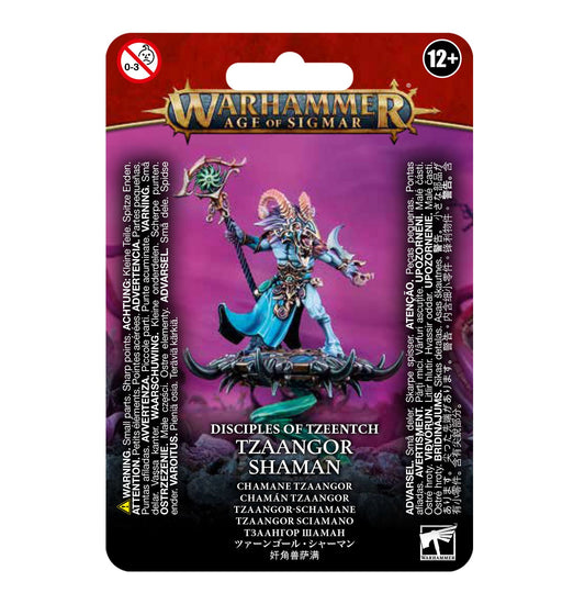 DISCIPLES OF TZEENTCH: ARCANITES TZAANGOR SHAMAN